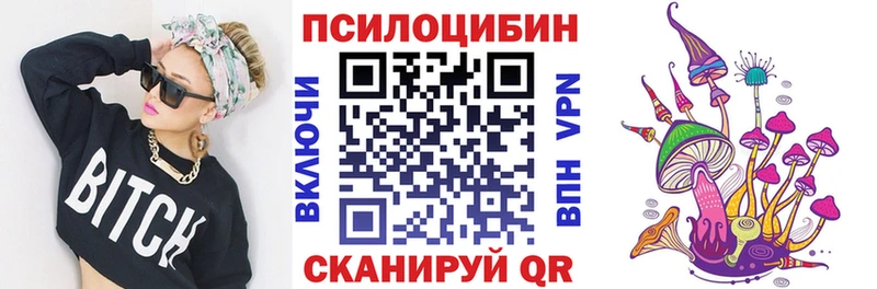 Псилоцибиновые грибы Psilocybe  где купить   Городец 