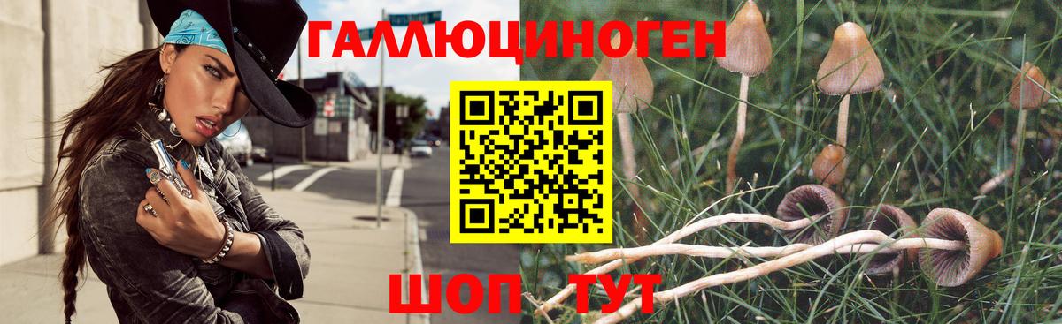 Галлюциногенные грибы мухоморы Городец