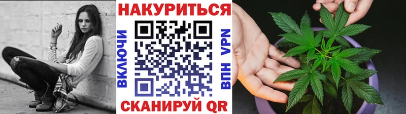 где продают наркотики  Городец  Бошки Шишки тримм 